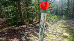 photo thumbnail #7