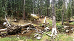 photo thumbnail #5