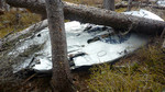 photo thumbnail #12