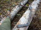 photo thumbnail #13