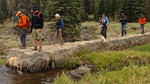 photo thumbnail #2