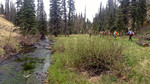 photo thumbnail #4