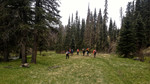 photo thumbnail #5