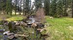 photo thumbnail #14
