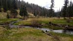 photo thumbnail #15