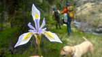 photo thumbnail #7