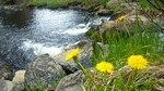 photo thumbnail #11