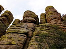 photo thumbnail #11