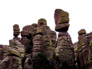 photo thumbnail #13