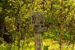 photo thumbnail #7