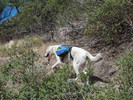 photo thumbnail #2