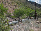 photo thumbnail #12