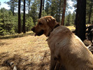 photo thumbnail #7