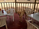photo thumbnail #13