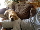 photo thumbnail #15