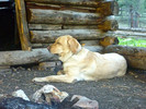 photo thumbnail #9