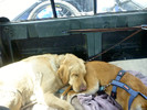 photo thumbnail #14