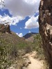 photo thumbnail #1