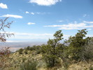 photo thumbnail #13