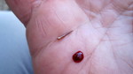 photo thumbnail #13