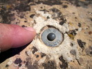photo thumbnail #12