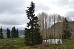 recent photo