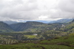 recent photo