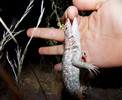 photo thumbnail #2