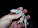 photo thumbnail #3