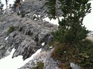 photo thumbnail #4