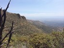 photo thumbnail #10