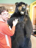 photo thumbnail #5