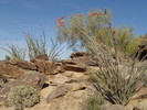 photo thumbnail #9