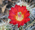 photo thumbnail #6
