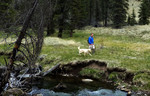 photo thumbnail #13
