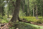 photo thumbnail #14