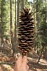 photo thumbnail #15