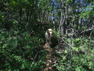 photo thumbnail #1