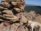 photo thumbnail #2