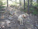 photo thumbnail #5