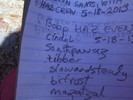 photo thumbnail #6