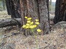 photo thumbnail #11