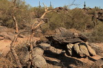 photo thumbnail #8