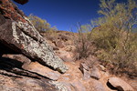 photo thumbnail #10