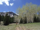 photo thumbnail #4