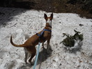 photo thumbnail #5