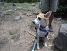 photo thumbnail #7