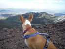 photo thumbnail #14