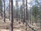 photo thumbnail #5