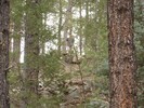 photo thumbnail #9
